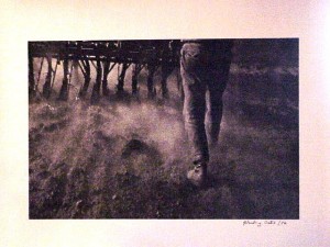 unidentified photo of fog and legs